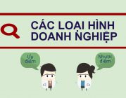 Một số đặc điểm của các loại hình doanh nghiệp tại Ninh Bình